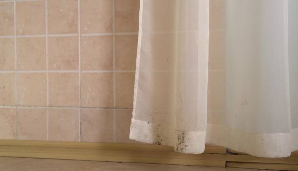 Best Dehumidification Services  in Gerdine, AL