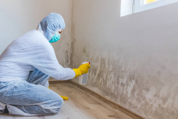 Best Mold Removal for HVAC Installations  in Gerdine, AL
