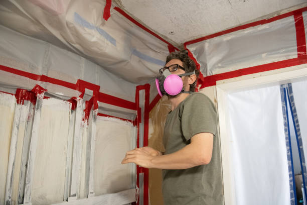 Best Mold-Related Health Consultation  in Gerdine, AL