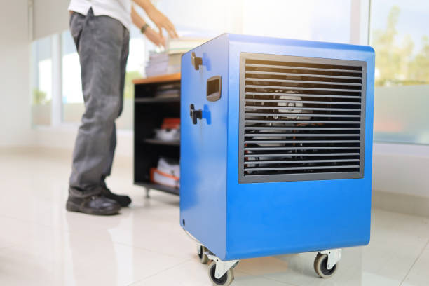 Best Mold Damage Restoration  in Gerdine, AL