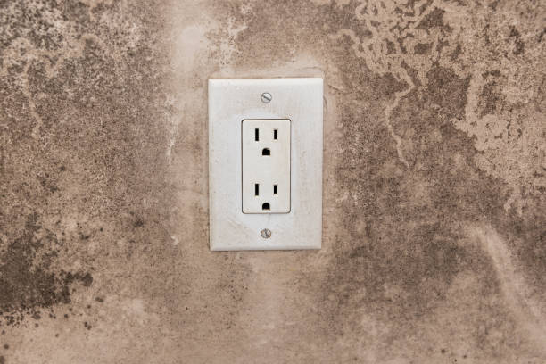 Best Forensic Mold Investigation  in Gerdine, AL
